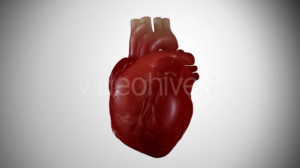 3D Heartbeat Videohive 16696295 Motion Graphics Image 1