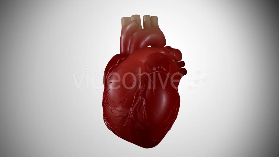 3D Heartbeat Videohive 16696295 Motion Graphics Image 2