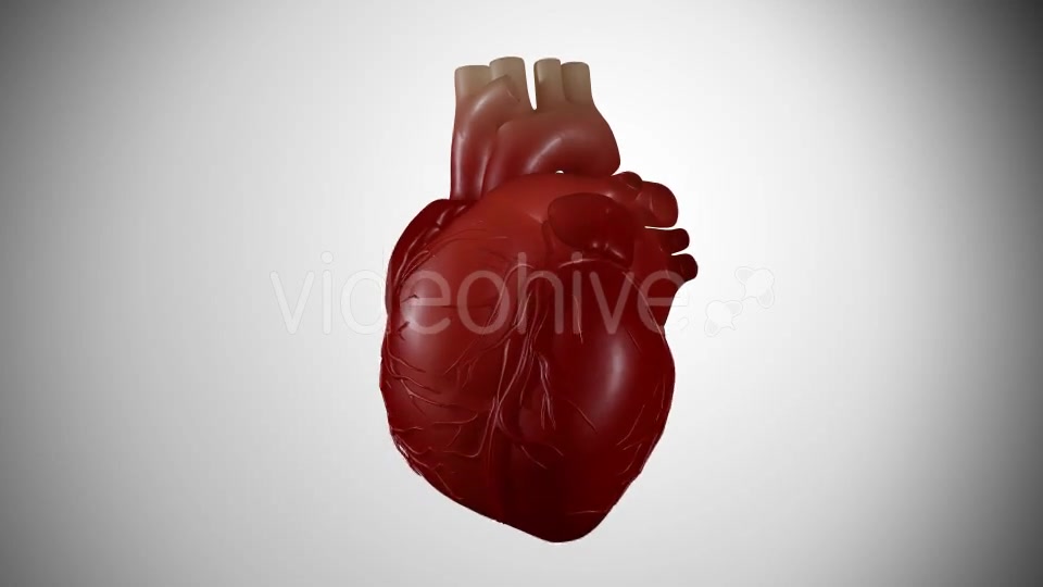3D Heartbeat Videohive 16696295 Motion Graphics Image 3
