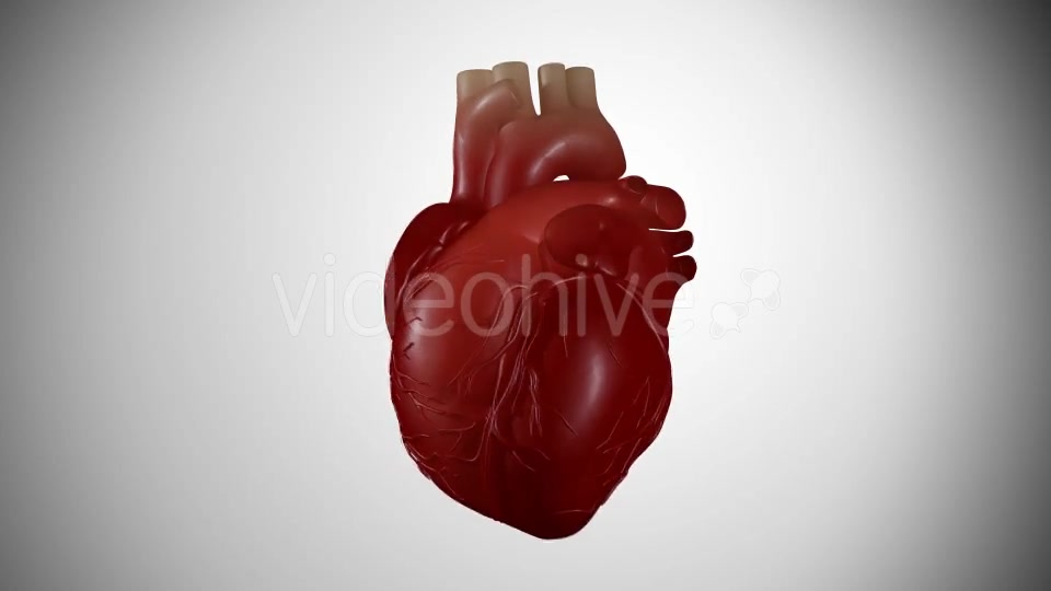 3D Heartbeat Videohive 16696295 Motion Graphics Image 4