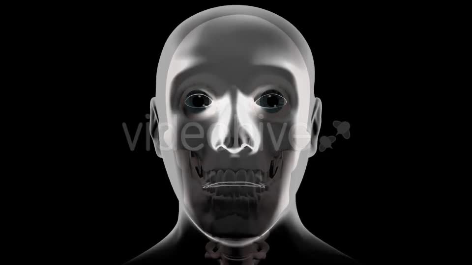 3d Human Brain With Eyes Videohive 20407402 Motion Graphics Image 1