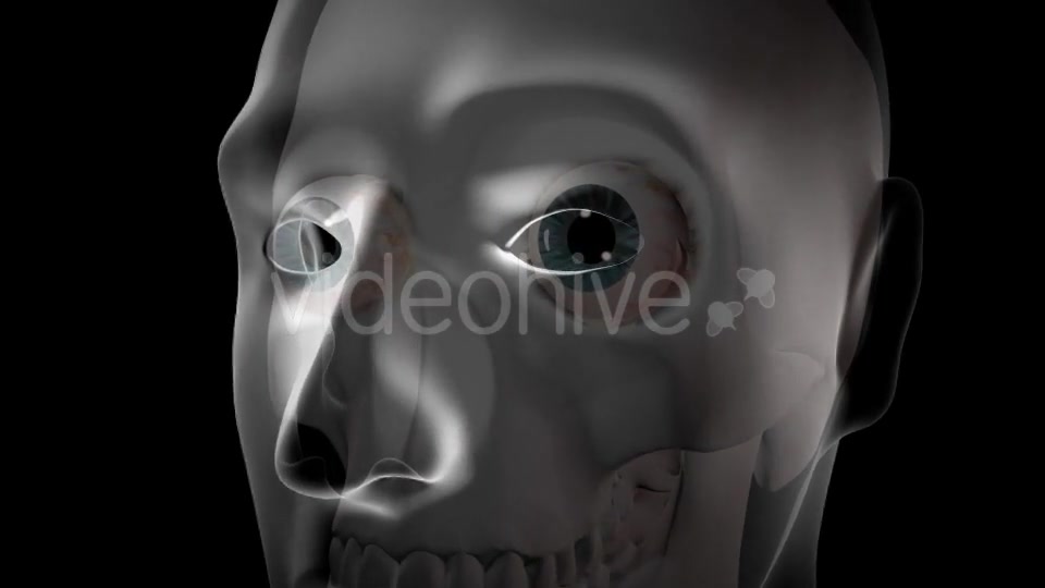 3d Human Brain With Eyes Videohive 20407402 Motion Graphics Image 3