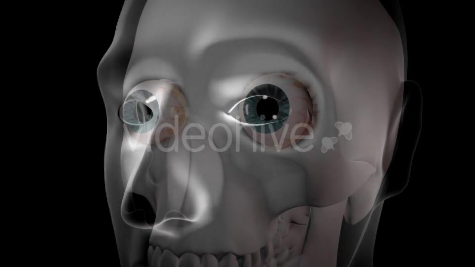 3d Human Brain With Eyes Videohive 20407402 Motion Graphics Image 4