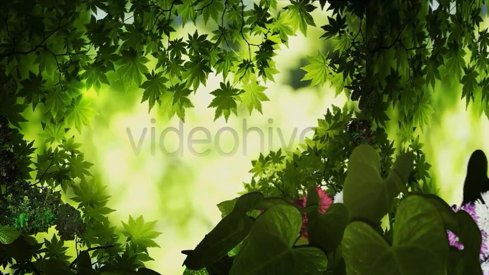 3D Jungle Videohive 8004454 Motion Graphics Image 2