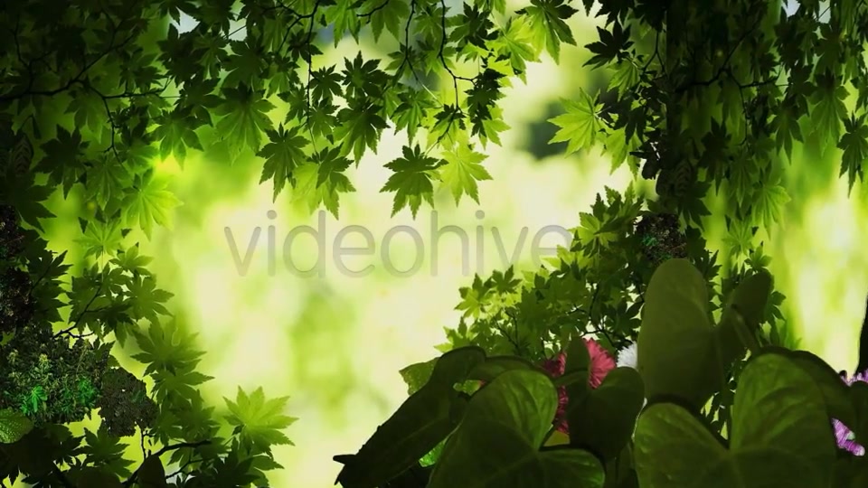 3D Jungle Videohive 8004454 Motion Graphics Image 3