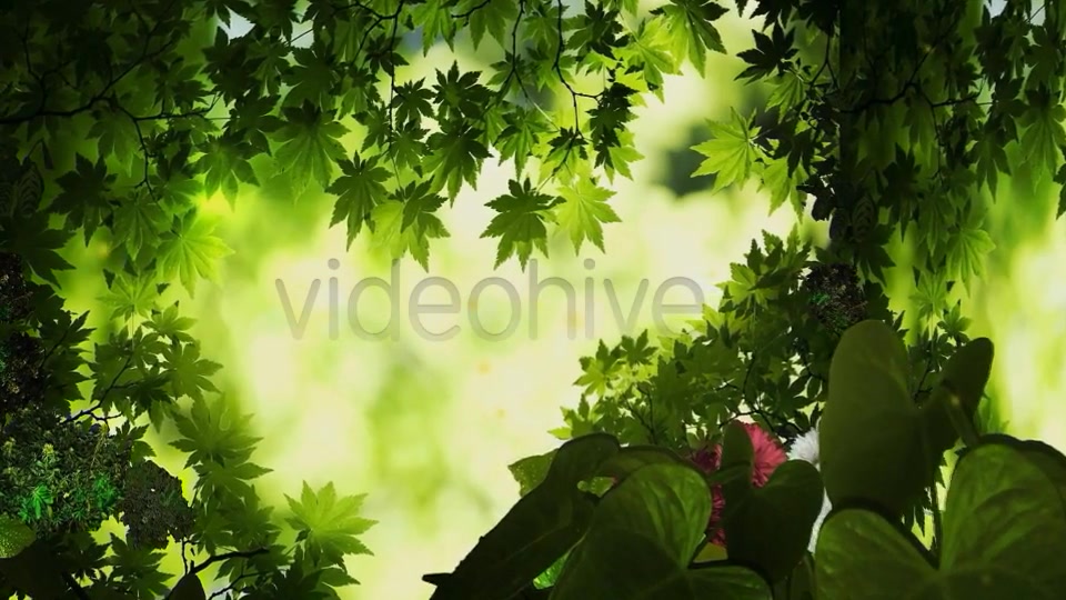 3D Jungle Videohive 8004454 Motion Graphics Image 4