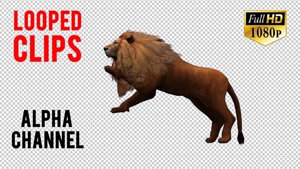 3D Lion Animation 11 - 20592421 Download Videohive