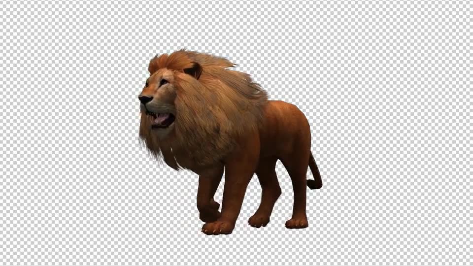 3D Lion Animation 8 Videohive 20592157 Motion Graphics Image 2