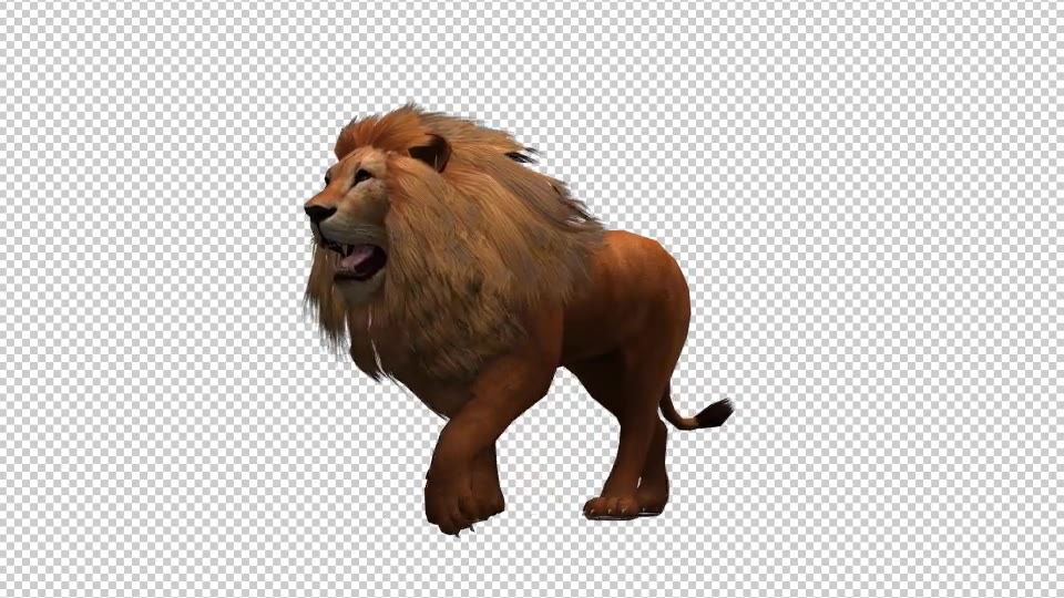 3D Lion Animation 8 Videohive 20592157 Motion Graphics Image 3