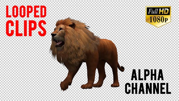 3D Lion Animation 8 - Download Videohive 20592157
