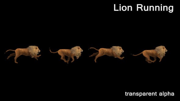3D Lion Running - Videohive Download 19724684