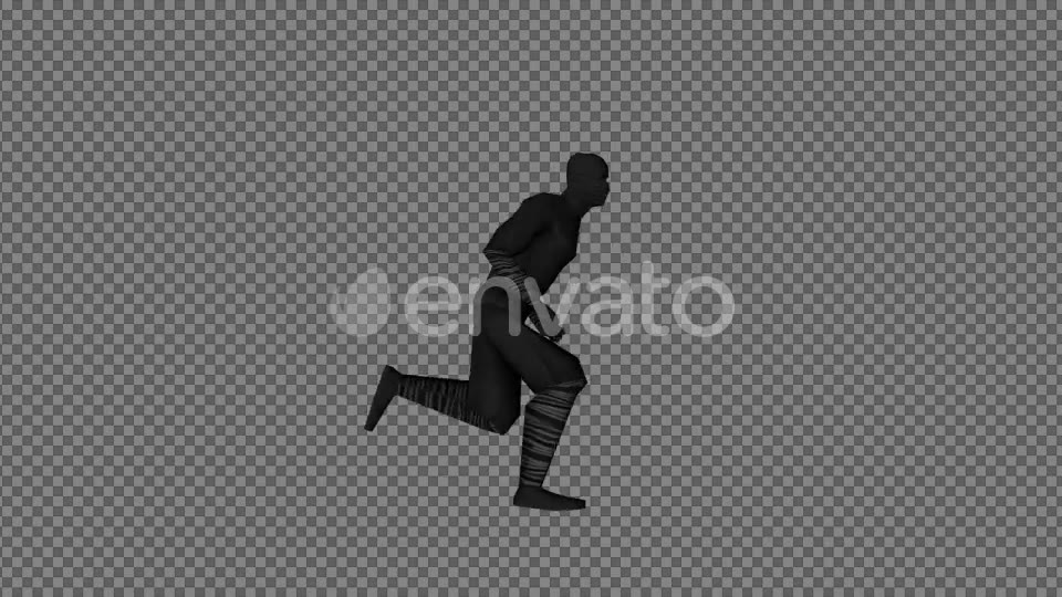 3D Ninja Run Videohive 22297660 Motion Graphics Image 5