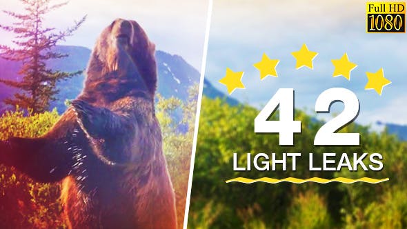 42 Light Leaks - Videohive Download 20885227