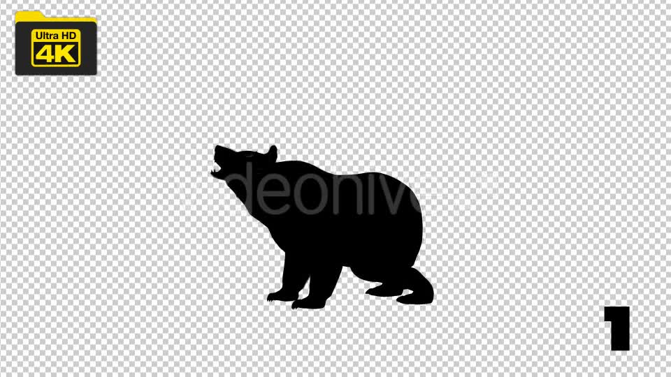 4K Bear Silhouettes 5 Pack Videohive 19722567 Motion Graphics Image 1