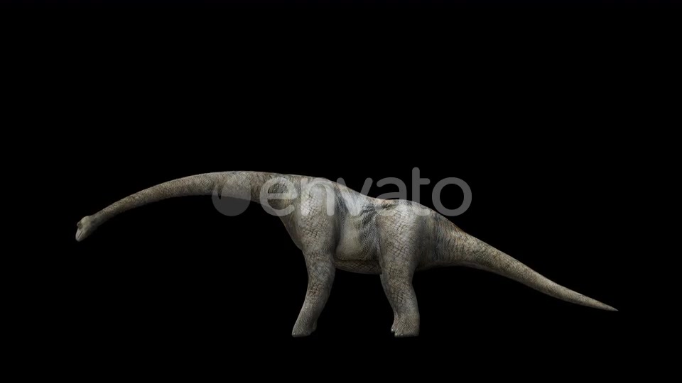 4K Brontosaurus Videohive 23214458 Motion Graphics Image 2