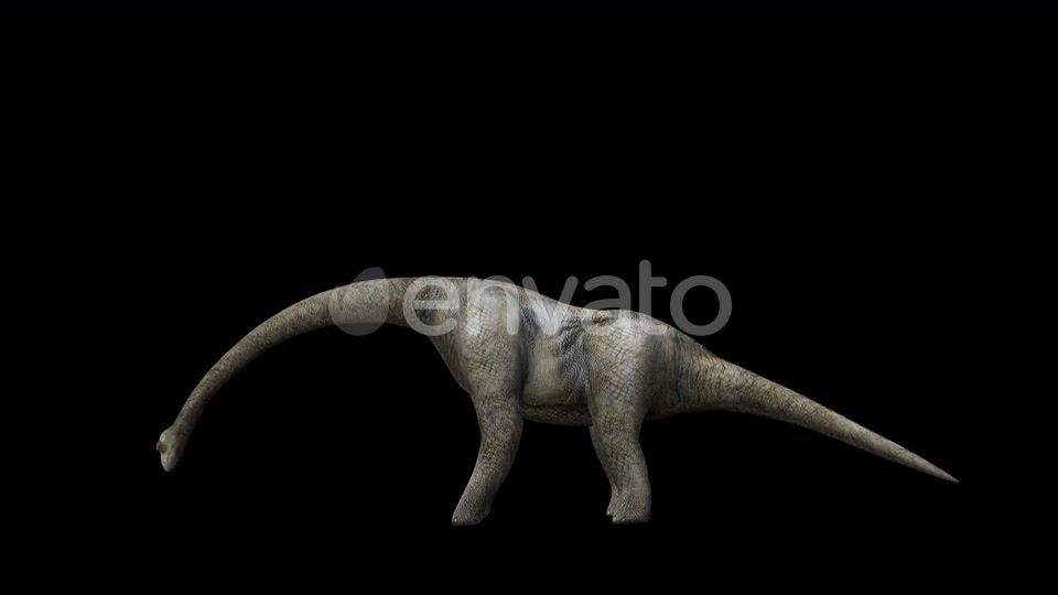 4K Brontosaurus Videohive 23214458 Motion Graphics Image 3