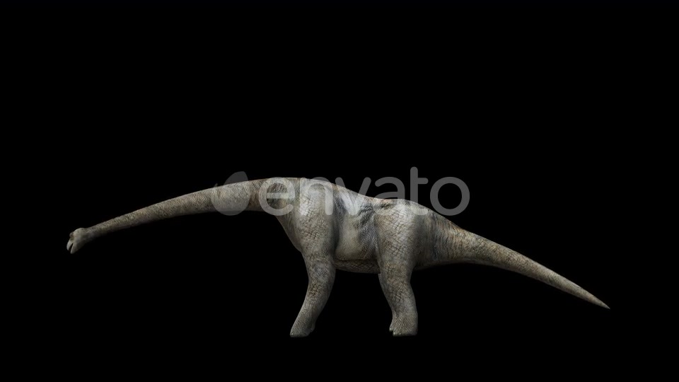 4K Brontosaurus Videohive 23214458 Motion Graphics Image 4