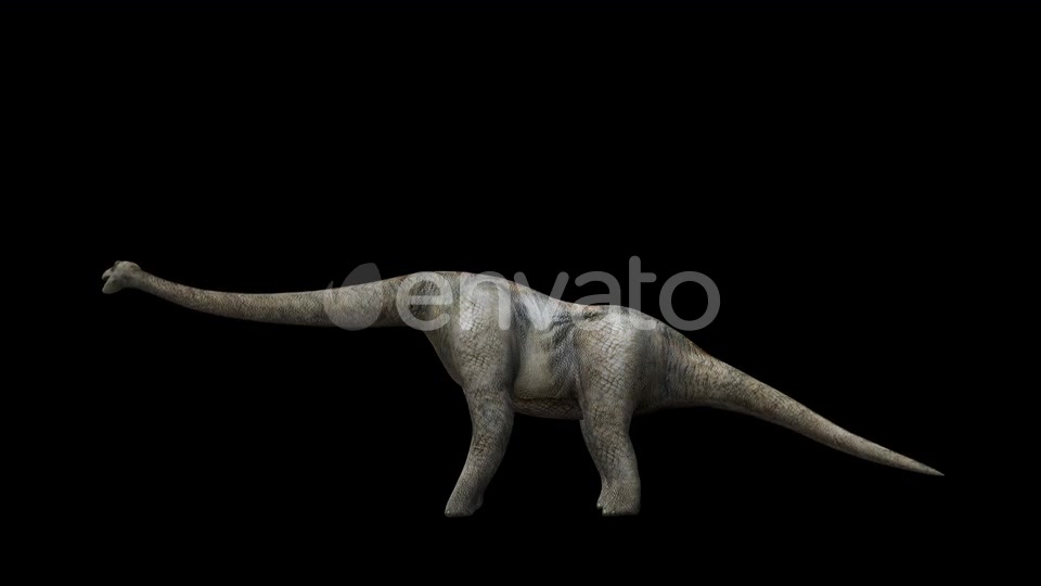 4K Brontosaurus Videohive 23214458 Motion Graphics Image 5