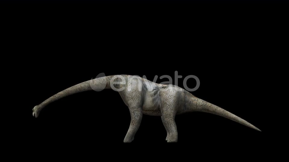 4K Brontosaurus Videohive 23214458 Motion Graphics Image 6