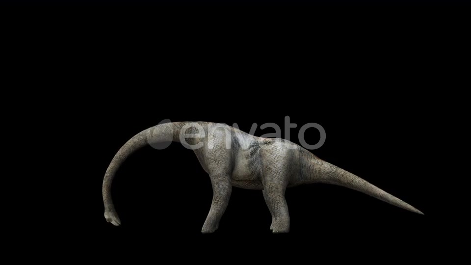 4K Brontosaurus Videohive 23214458 Motion Graphics Image 7