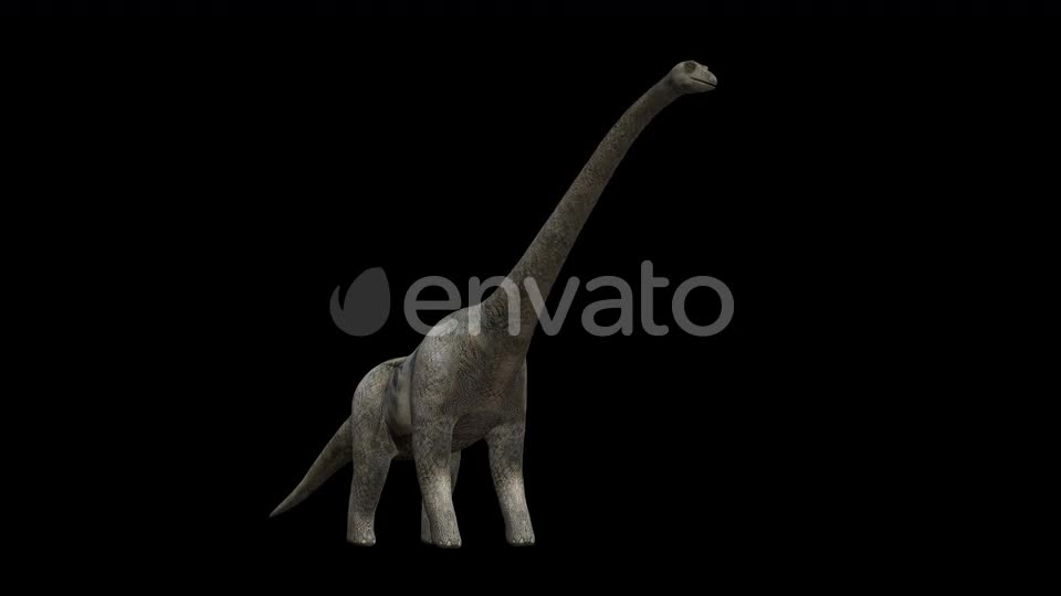4K Brontosaurus Eat Videohive 23214460 Motion Graphics Image 1