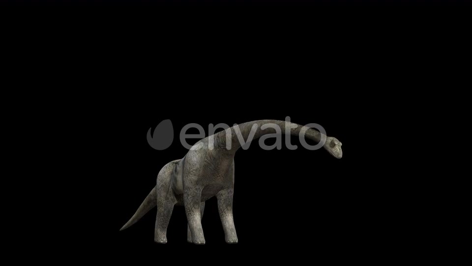4K Brontosaurus Eat Videohive 23214460 Motion Graphics Image 2