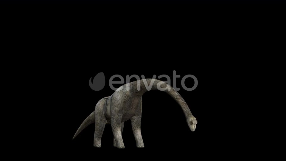 4K Brontosaurus Eat Videohive 23214460 Motion Graphics Image 3