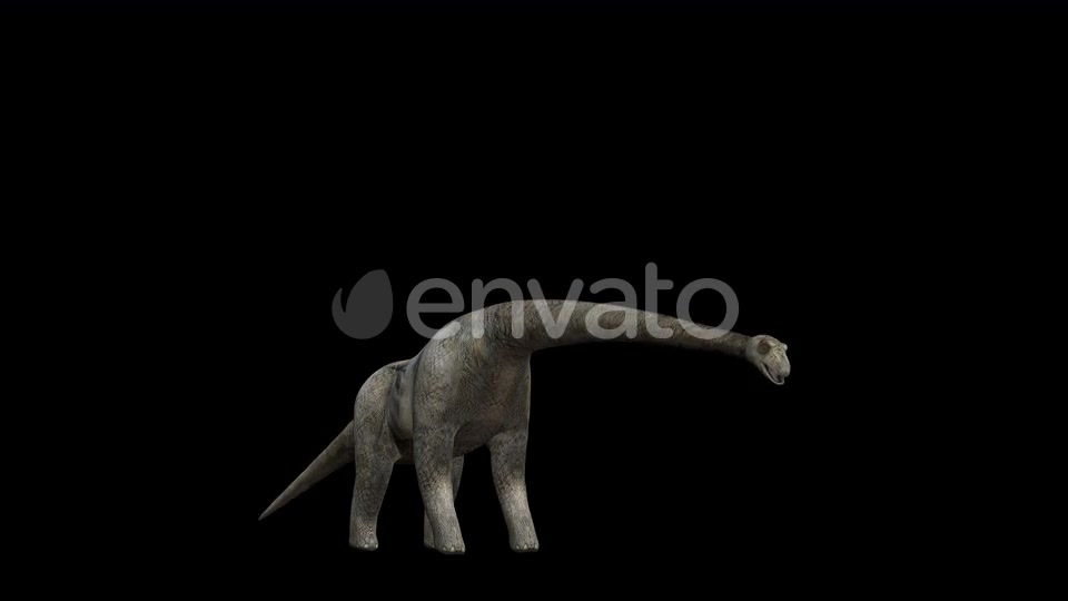 4K Brontosaurus Eat Videohive 23214460 Motion Graphics Image 4