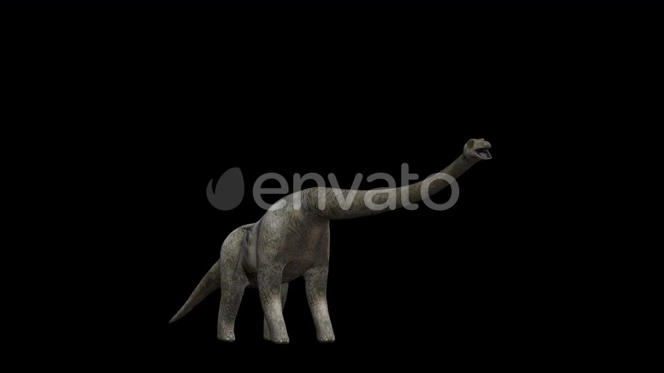 4K Brontosaurus Eat Videohive 23214460 Motion Graphics Image 5