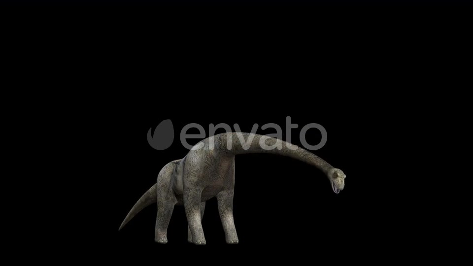 4K Brontosaurus Eat Videohive 23214460 Motion Graphics Image 6