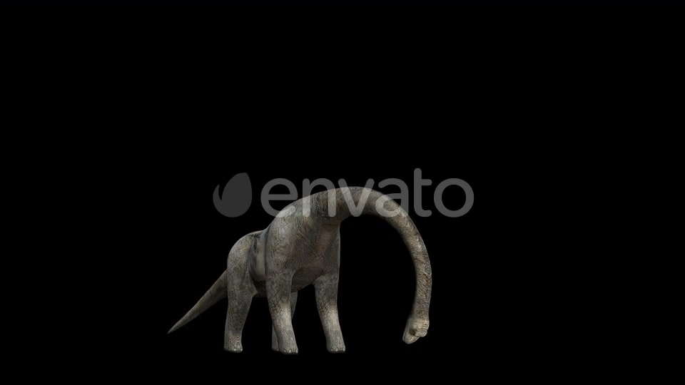 4K Brontosaurus Eat Videohive 23214460 Motion Graphics Image 7