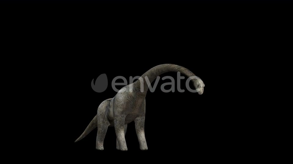 4K Brontosaurus Eat Videohive 23214460 Motion Graphics Image 8