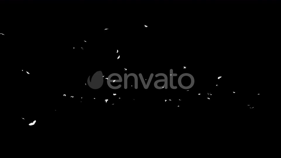 4K Butterflies White Silhouette Videohive 22658935 Motion Graphics Image 2