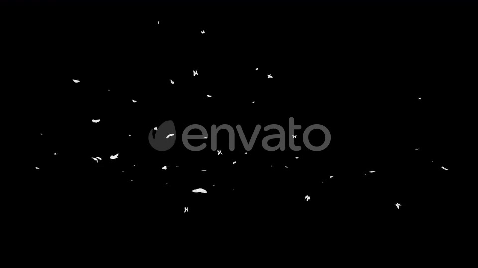 4K Butterflies White Silhouette Videohive 22658935 Motion Graphics Image 6