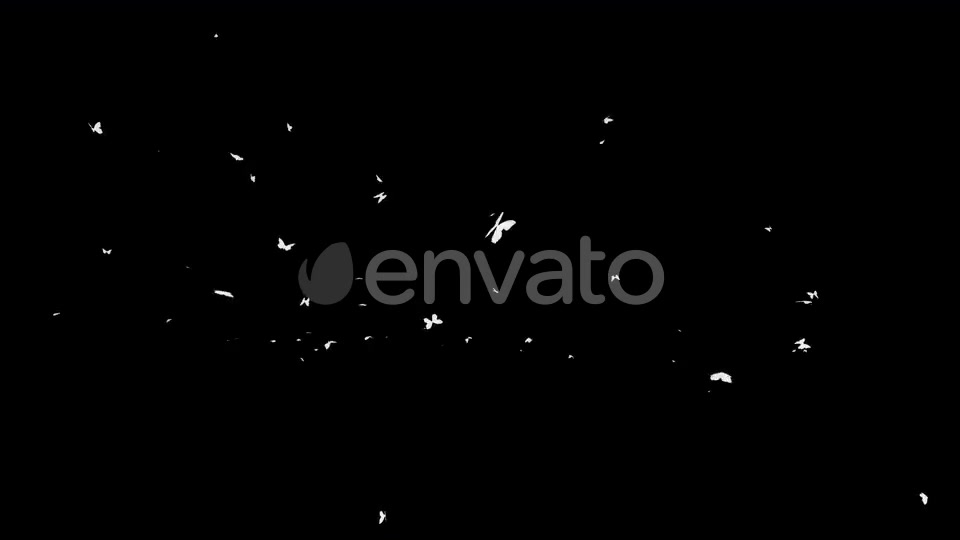 4K Butterflies White Silhouette Videohive 22658935 Motion Graphics Image 7
