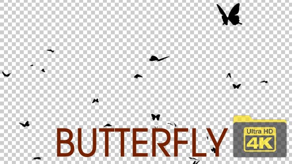 4K Butterfly Silhouettes - Videohive 19827169 Download