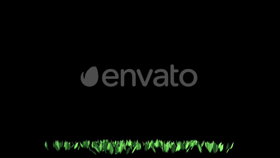 4K Clover Plant Growing Timelapse Videohive 22359944 Motion Graphics Image 1