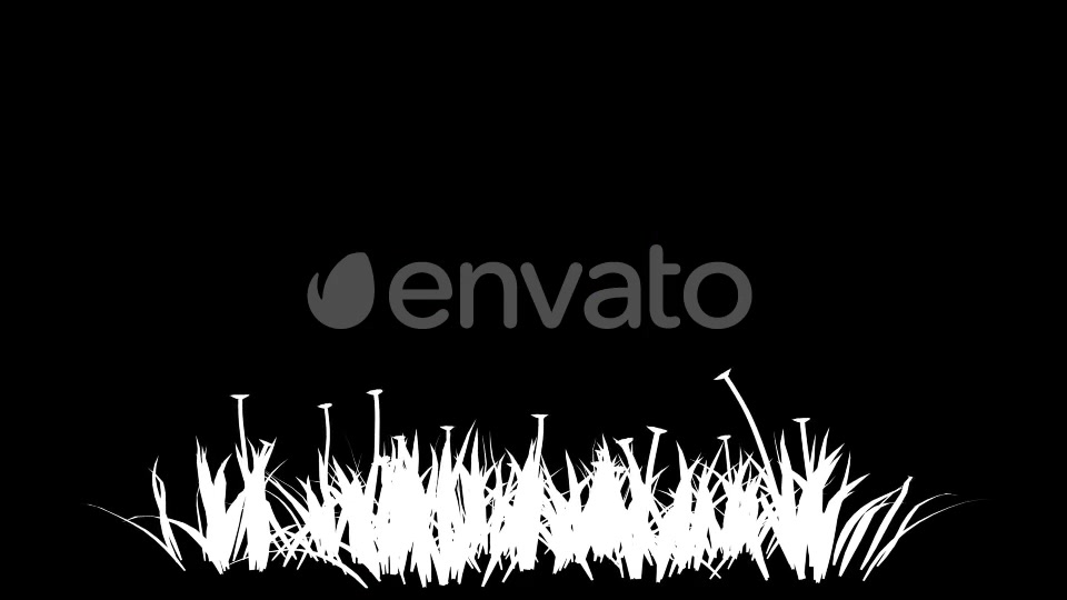 4K Clover Plant Growing Timelapse Videohive 22359944 Motion Graphics Image 6