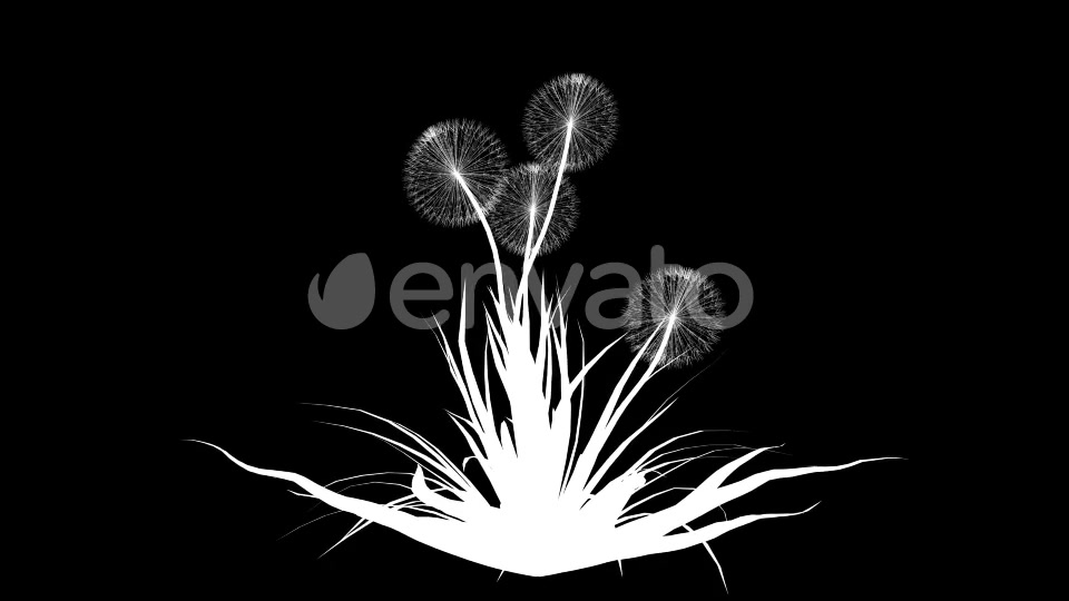 4K Dandelion Plant Growing Timelapse Videohive 22359744 Motion Graphics Image 7
