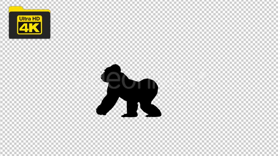 4K Gorilla Silhouettes 2 Scene Videohive 19724788 Motion Graphics Image 1