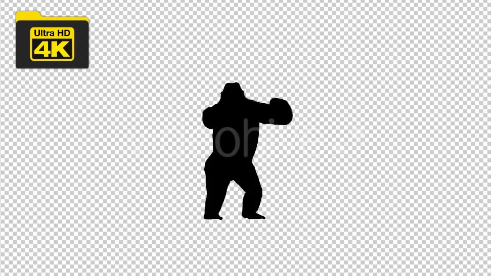 4K Gorilla Silhouettes 2 Scene Videohive 19724788 Motion Graphics Image 5