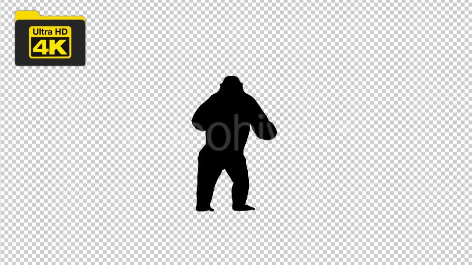 4K Gorilla Silhouettes 2 Scene Videohive 19724788 Motion Graphics Image 6