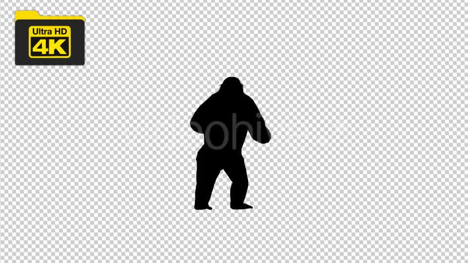 4K Gorilla Silhouettes 2 Scene Videohive 19724788 Motion Graphics Image 8