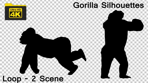 4K Gorilla Silhouettes 2 Scene - 19724788 Download Videohive