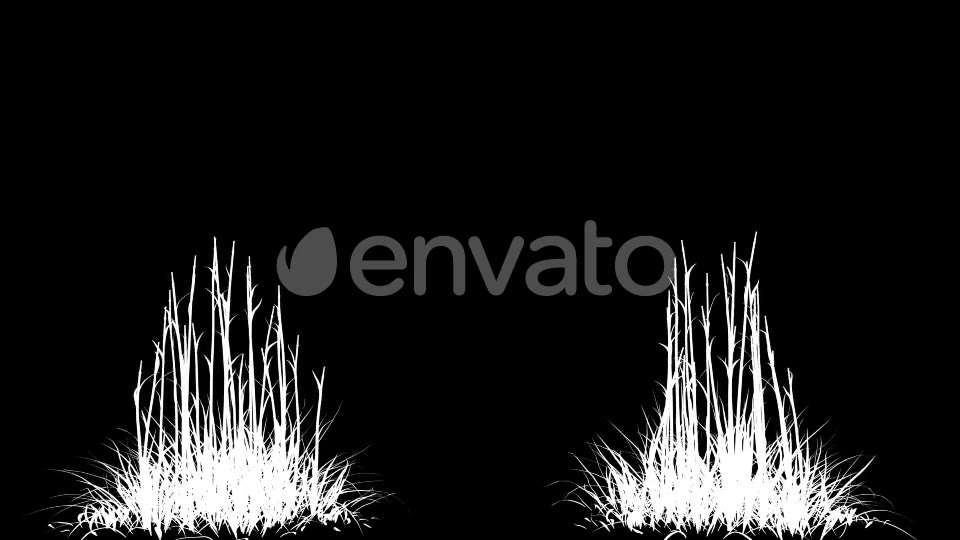 4K Hairybrome Plant Growing Timelapse Videohive 22359797 Motion Graphics Image 6