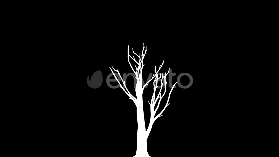 4K Lemon Tree Growing Timelapse Videohive 21866531 Motion Graphics Image 7