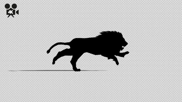 4K Lion Running Silhouette - Download 21721419 Videohive
