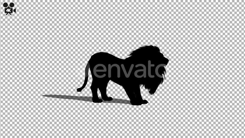 4K Lion Silhouette Howl Videohive 21721300 Motion Graphics Image 1