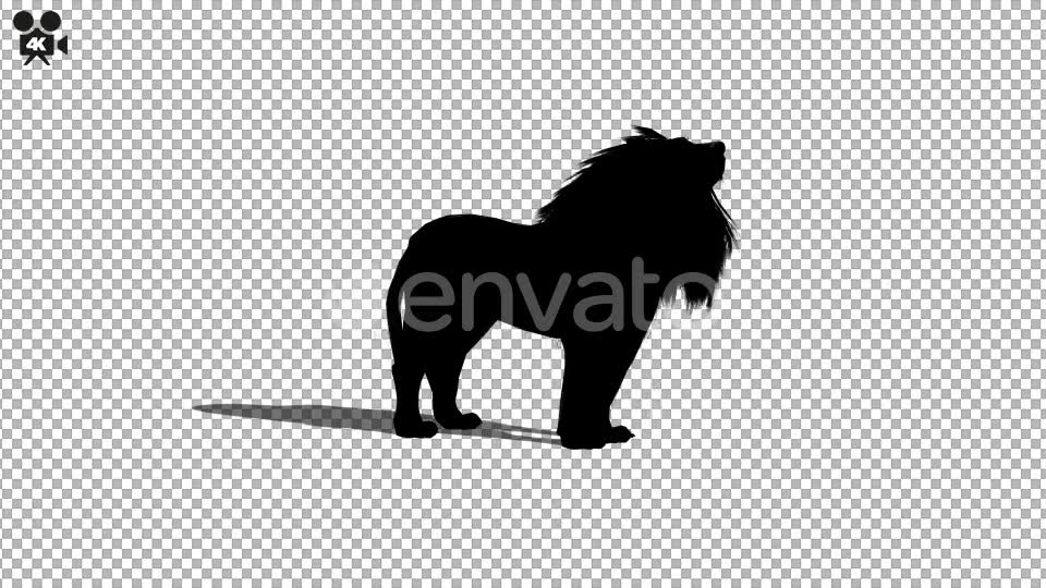 4K Lion Silhouette Howl Videohive 21721300 Motion Graphics Image 2