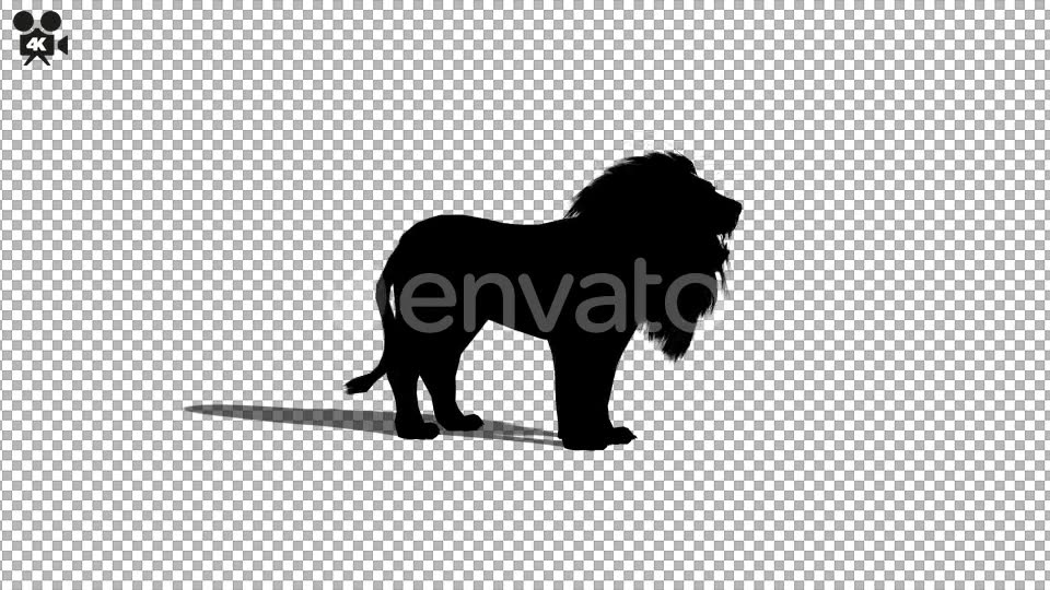 4K Lion Silhouette Howl Videohive 21721300 Motion Graphics Image 3